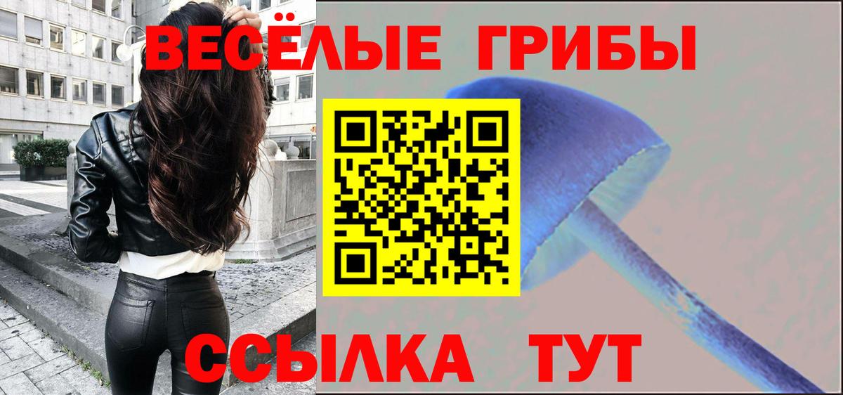 Псков  Псилоцибиновые грибы мухоморы  Вход с VPN 